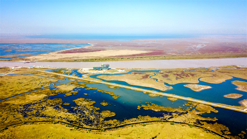 A scenic view of Dongying Yellow River Delta