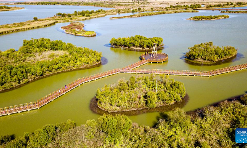 A scenic view of Dongying Yellow River Delta