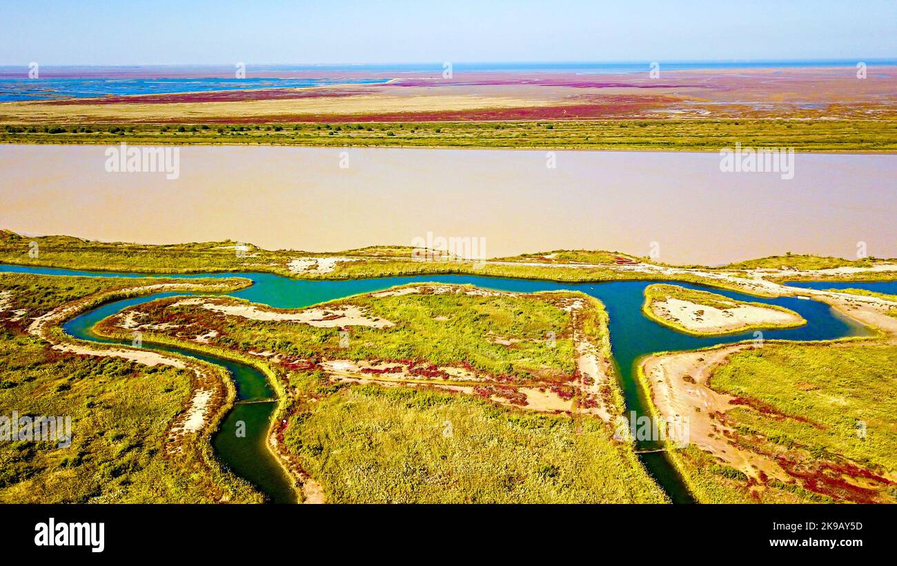 A scenic view of Dongying Yellow River Delta