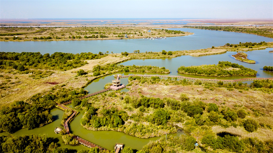 A scenic view of Dongying Yellow River Delta