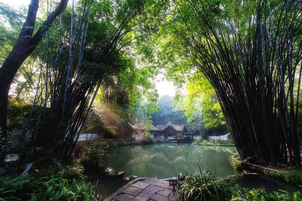 A scenic view of dufu thatched cottage