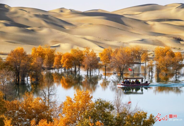 Ejin Populus Euphratica Forest: A Nature Lover’s Paradise