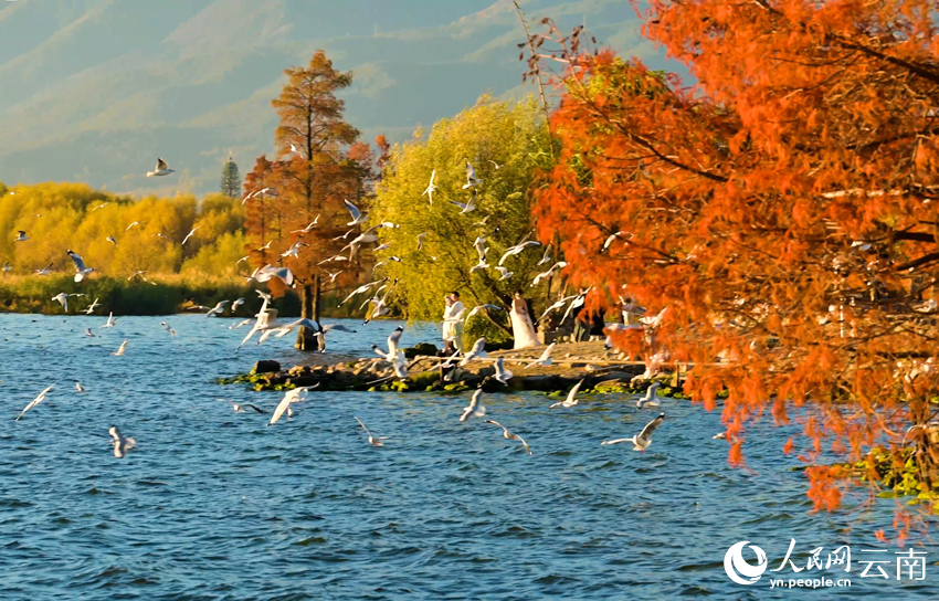 A scenic view of erhai lake