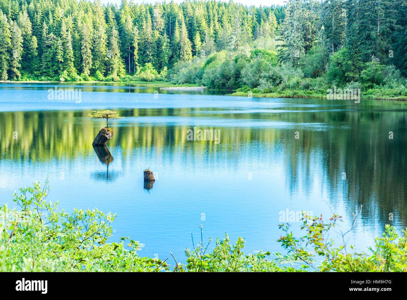 A scenic view of Fairy Lake