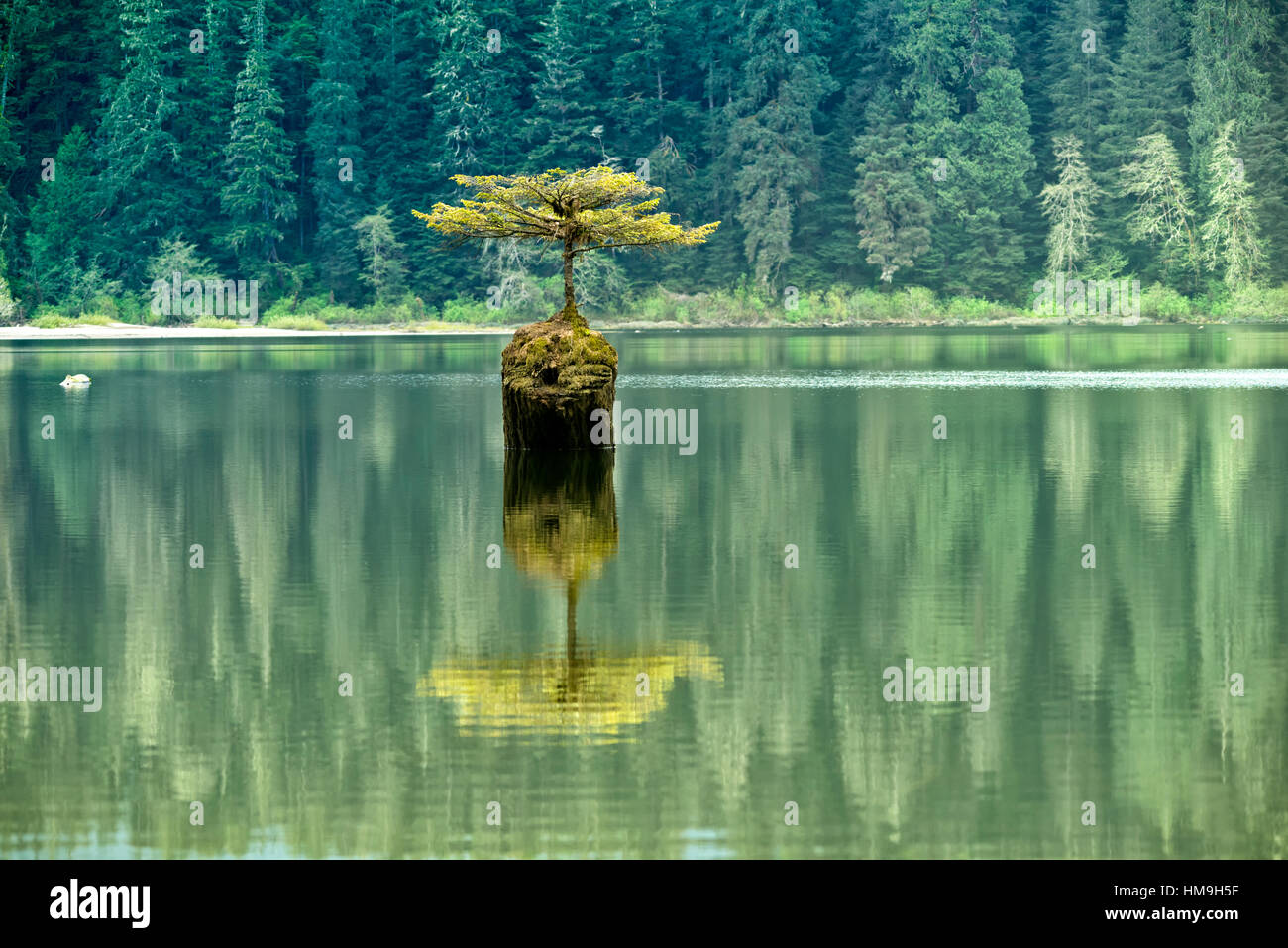 A scenic view of Fairy Lake