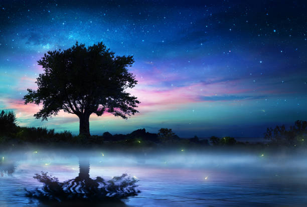A scenic view of Fairy Lake