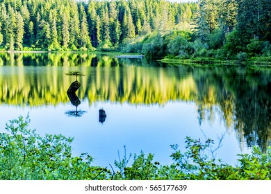A scenic view of Fairy Lake
