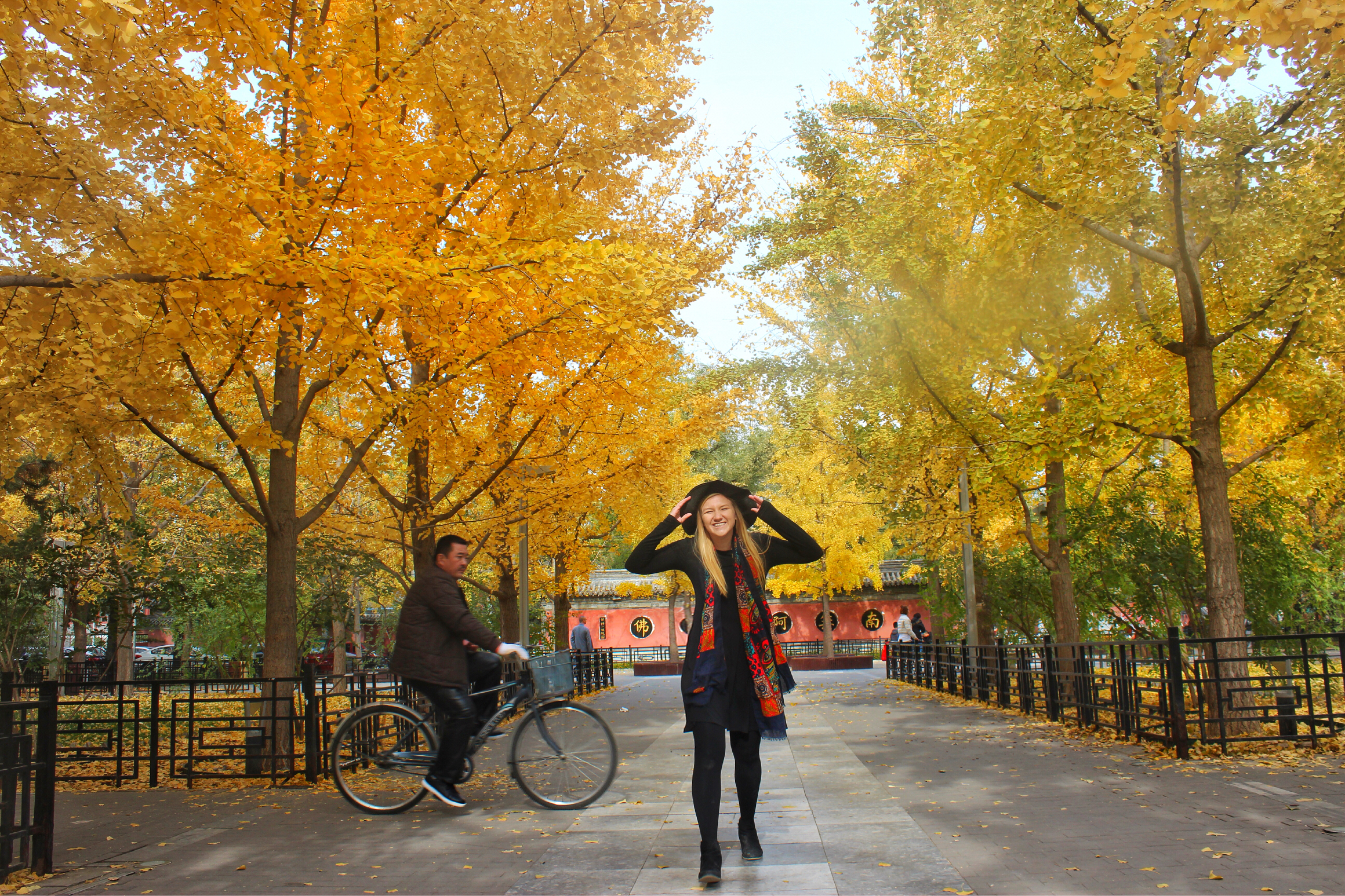 A scenic view of fayuan_temple