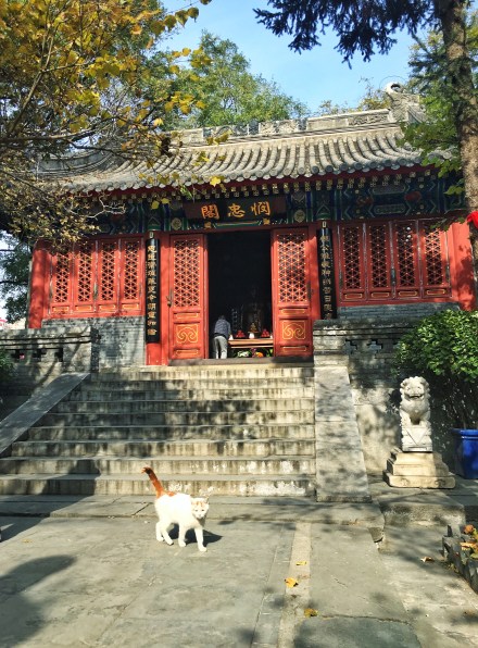 A scenic view of fayuan_temple