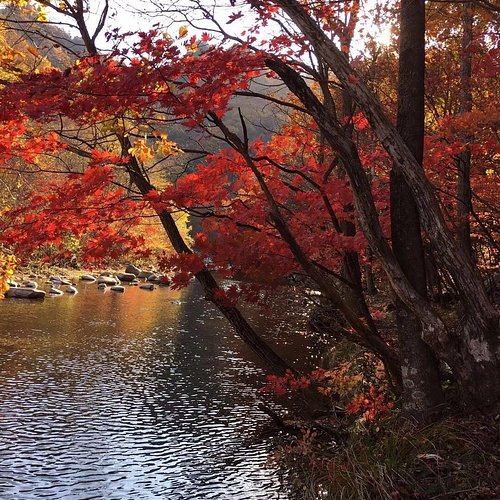 A scenic view of fengcheng river scenic area