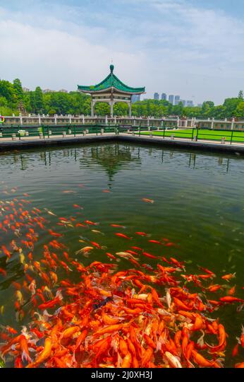 A scenic view of fengxiang_east_lake_scenic_area