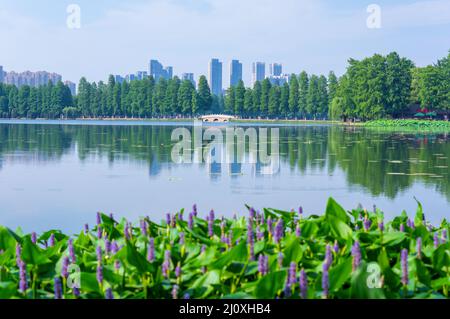A scenic view of fengxiang_east_lake_scenic_area