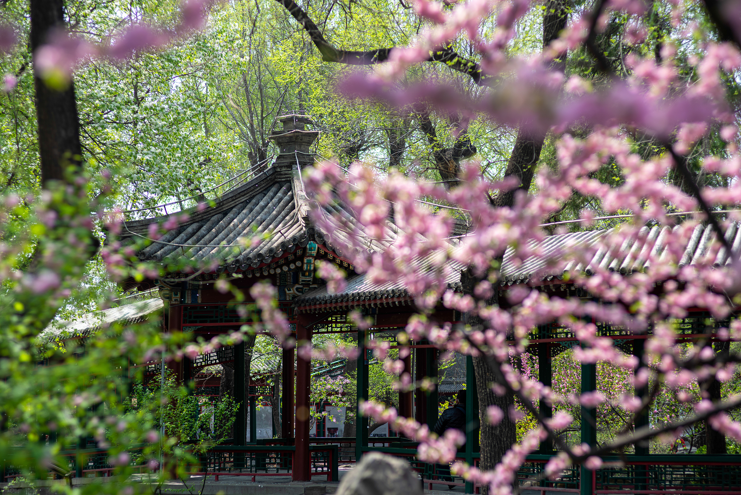 A scenic view of former_residence_of_soong_ching_ling