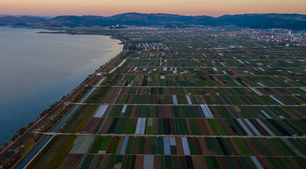A scenic view of former site of tonghai reclamation