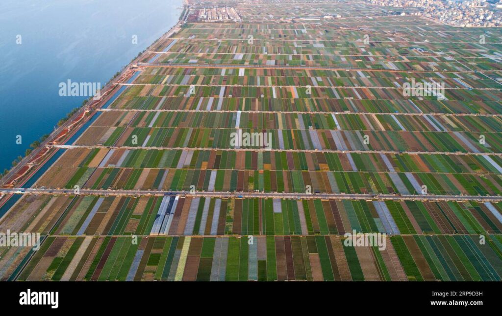 From Fields to Folklore: The Enchanting Stories Behind the Former Site of Tonghai Reclamation