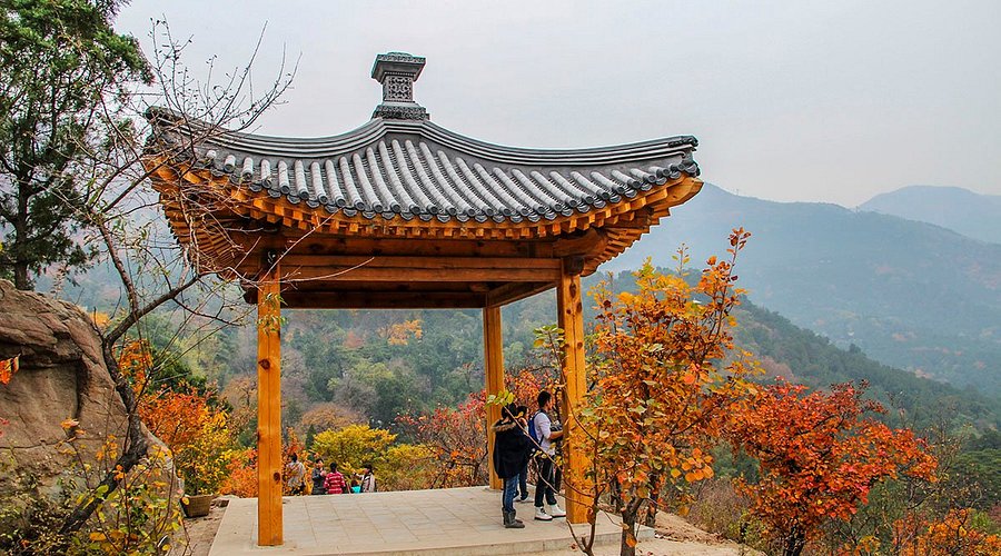 Experience the Beauty of Autumn in Fragrant Hills Park