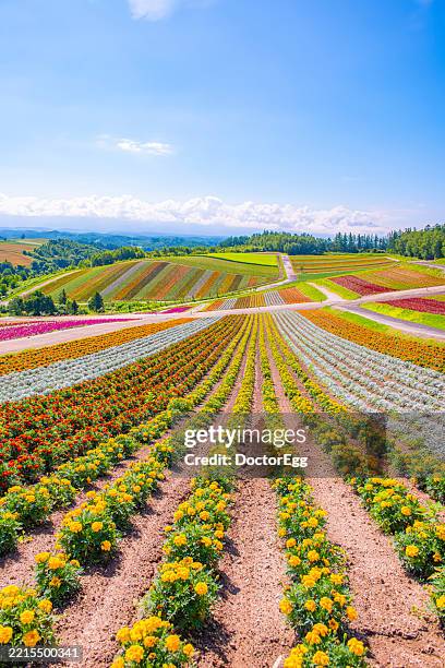 A scenic view of fragrant_hills_park