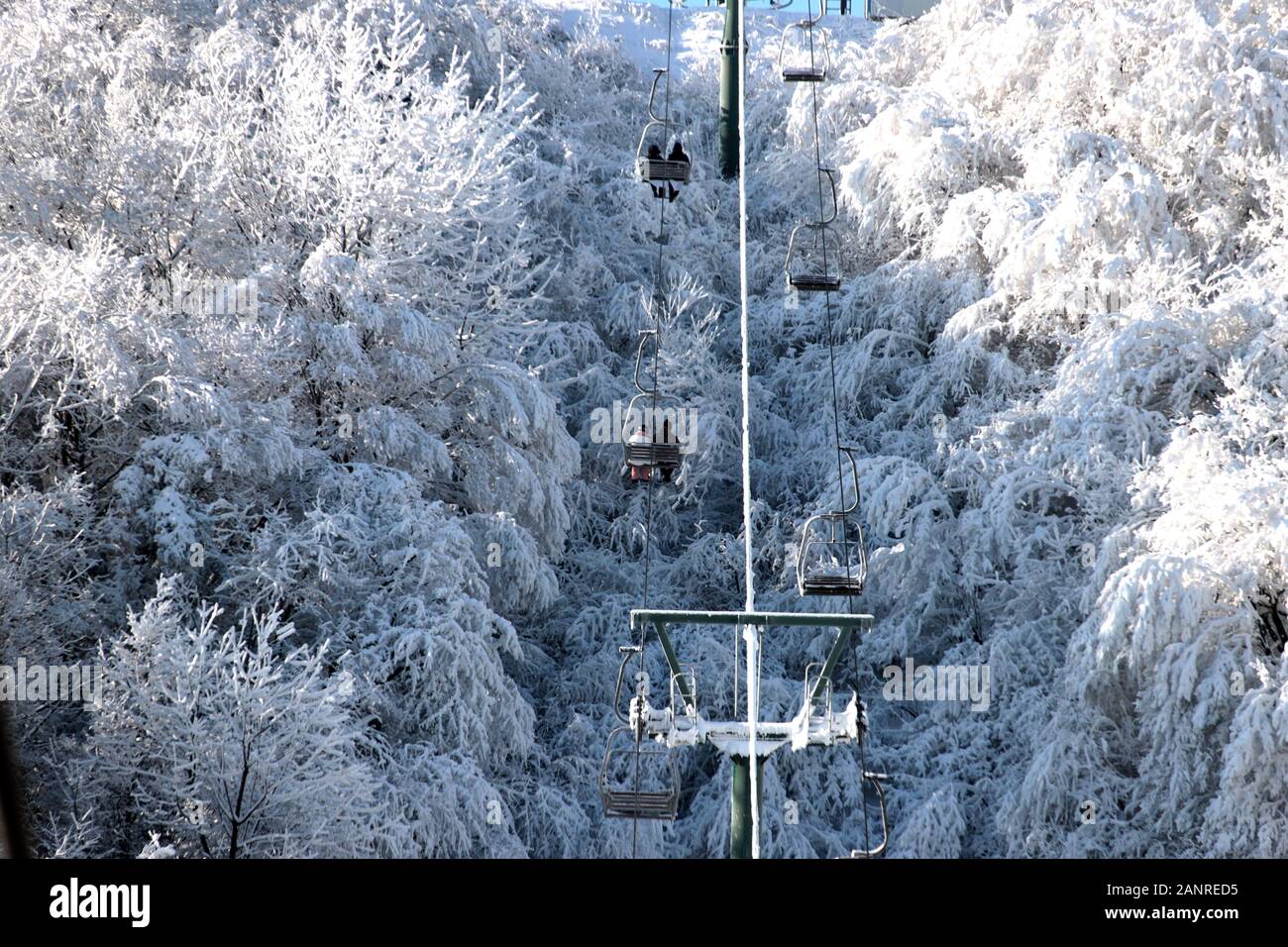 A scenic view of Funiu Mountain Ski Resort