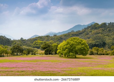 A scenic view of fuzhou zhuzifang