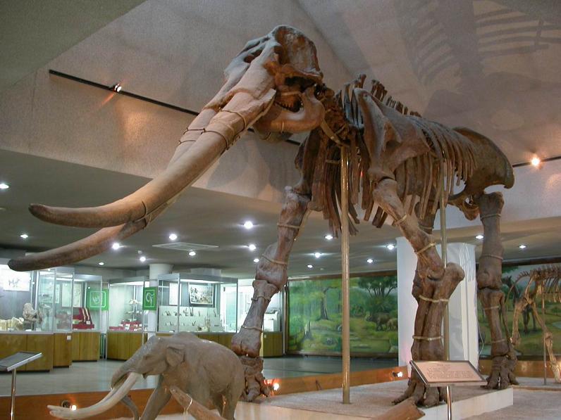 Gansu Provincial Museum: Where Ancient Artifacts Meet Modern Exhibits