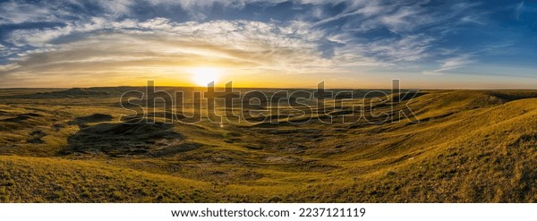 A scenic view of golden_and_silver_grassland