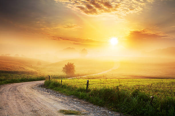 Top Activities to Experience in the Golden and Silver Grassland