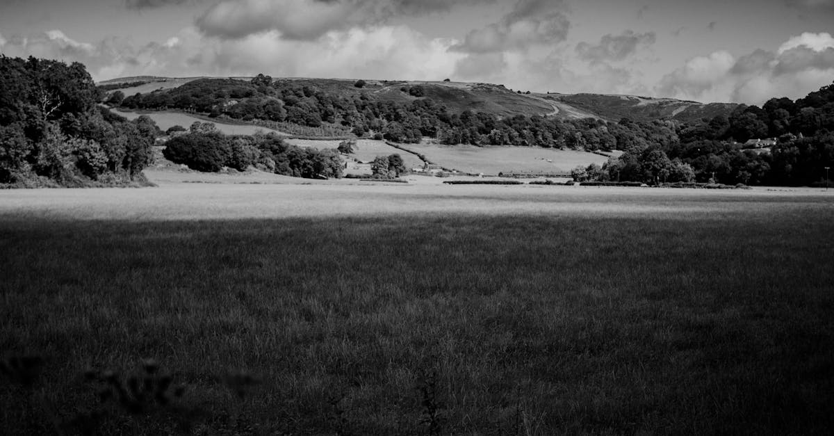A scenic view of gordon_hall_site