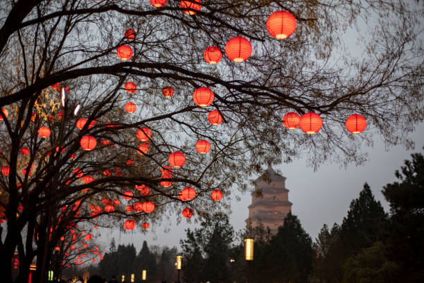 A scenic view of great_wild_goose_pagoda