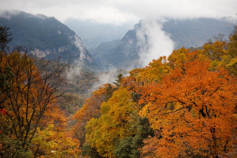 The Best Time to Visit Guangwu Mountain: Seasonal Highlights and Activities