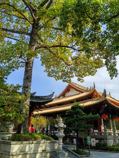 A scenic view of guangxiao temple