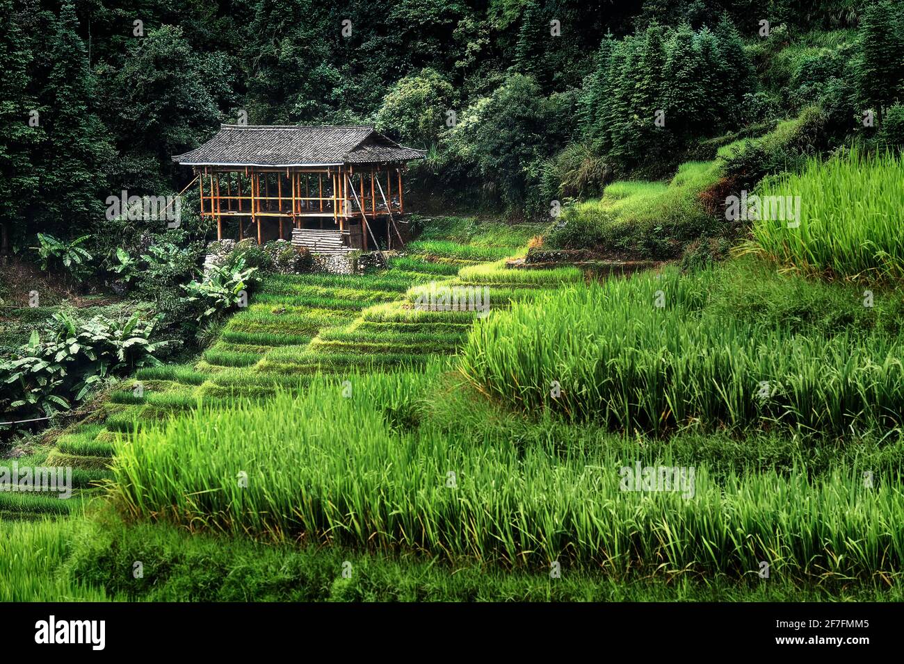 A scenic view of Guanxi Enclosed House