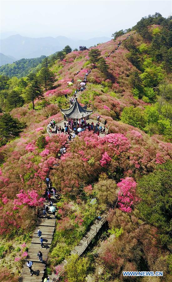 A scenic view of Guifeng Scenic Area
