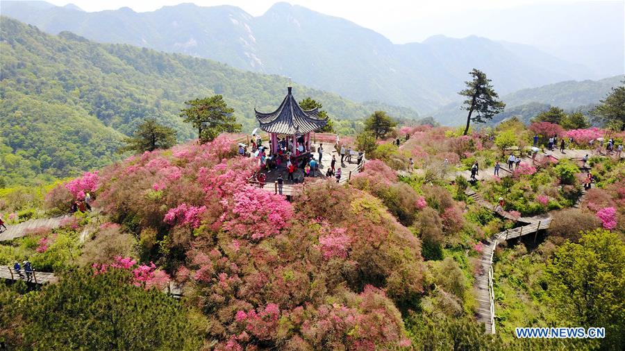 A scenic view of Guifeng Scenic Area