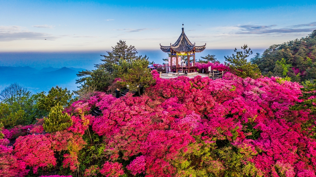 Why Guifeng Scenic Area Should Be on Every Traveler’s Bucket List
