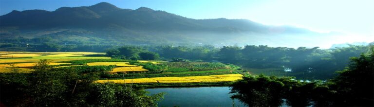 Experience the Legacy of the Guiping Jintian Uprising Site: A Must-Visit Landmark