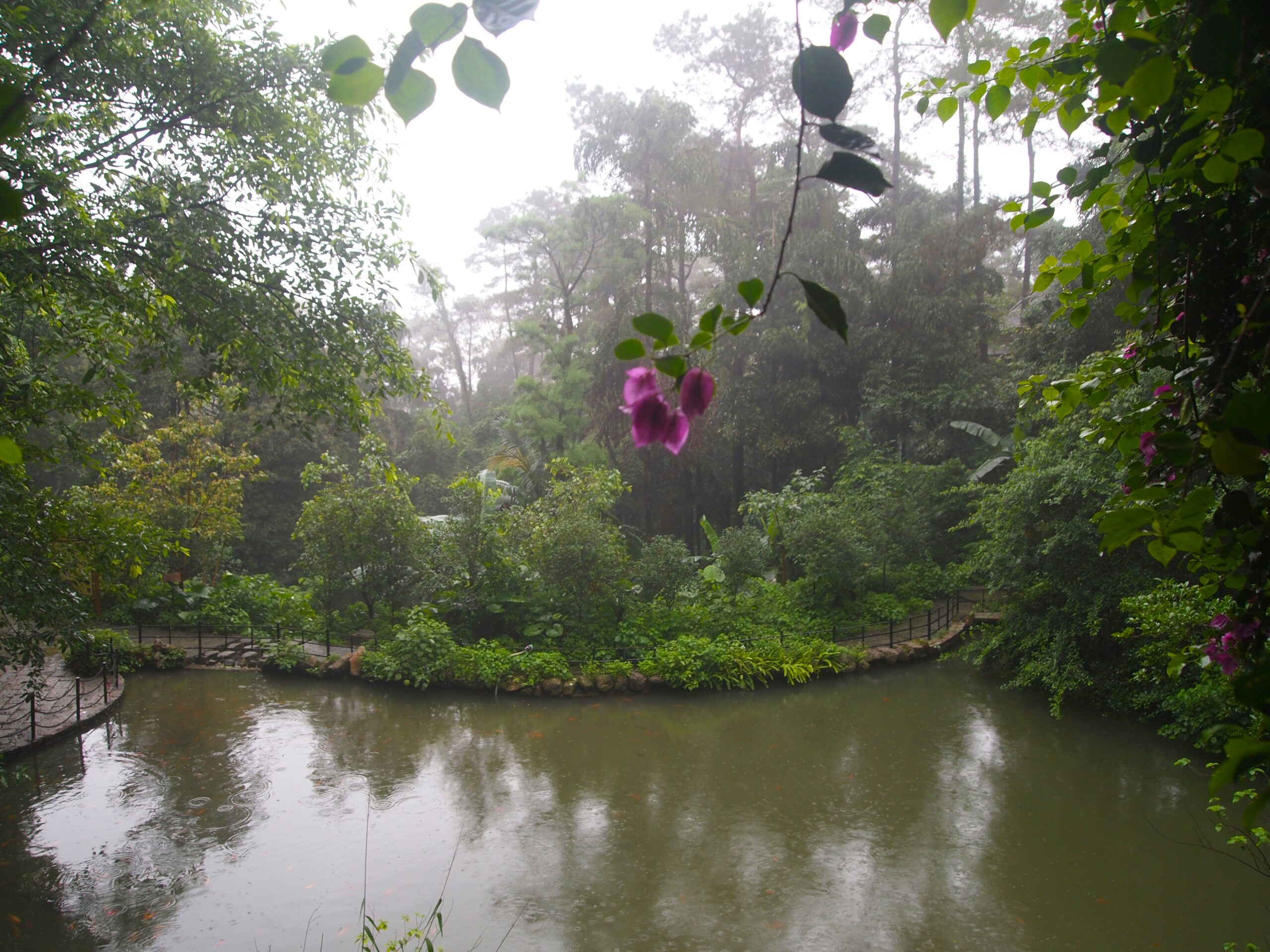 A scenic view of guiping xishan scenic area