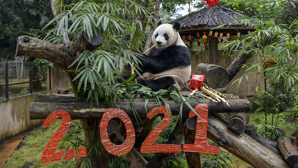 A scenic view of haikou_tropical_wildlife_park_and_botanical_garden