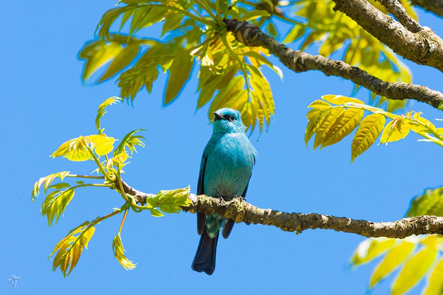 A scenic view of haikou_tropical_wildlife_park_and_botanical_garden
