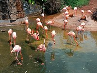 A scenic view of haikou_tropical_wildlife_park_and_botanical_garden