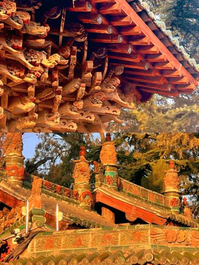 A Day in Hancheng Ancient City: Culture, History, and Scenic Beauty Await