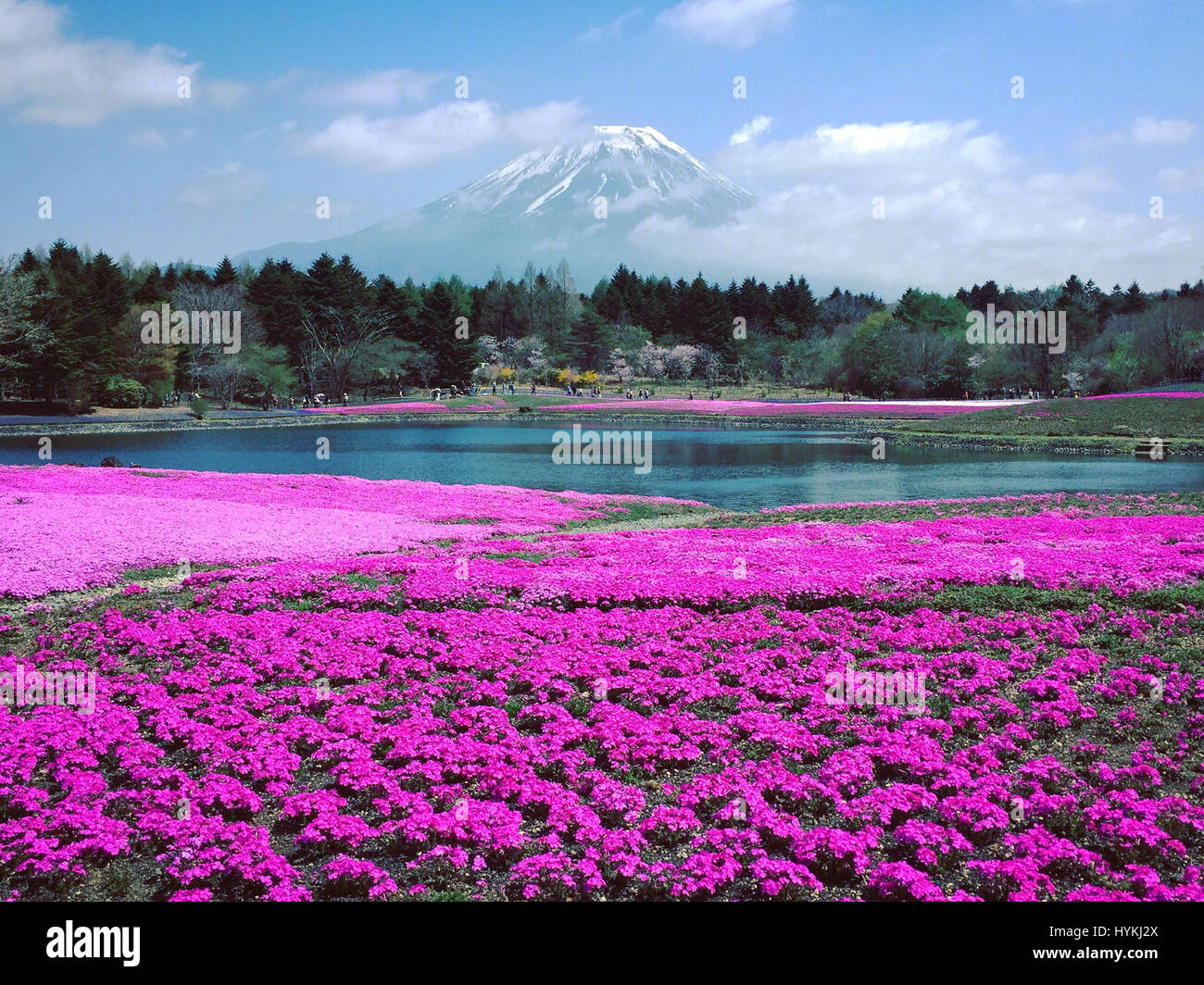 A scenic view of hanshu_site