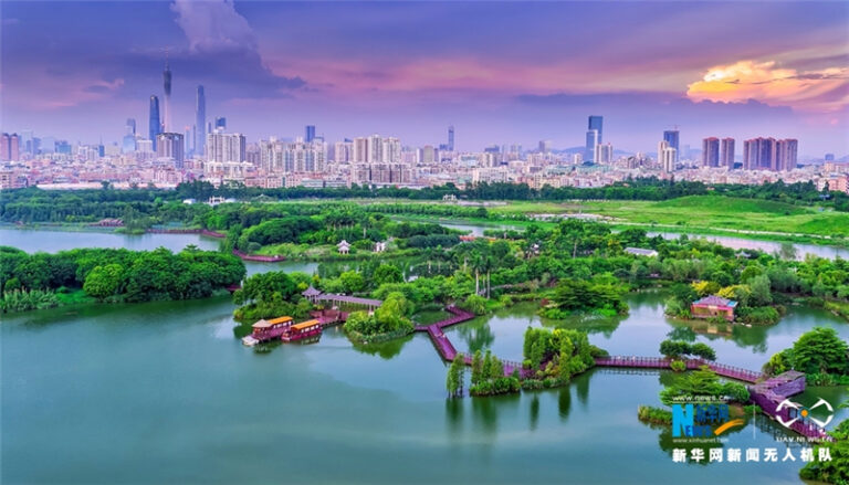 The Best Local Cuisine to Savor in Hanshu Site: A Food Lover’s Paradise