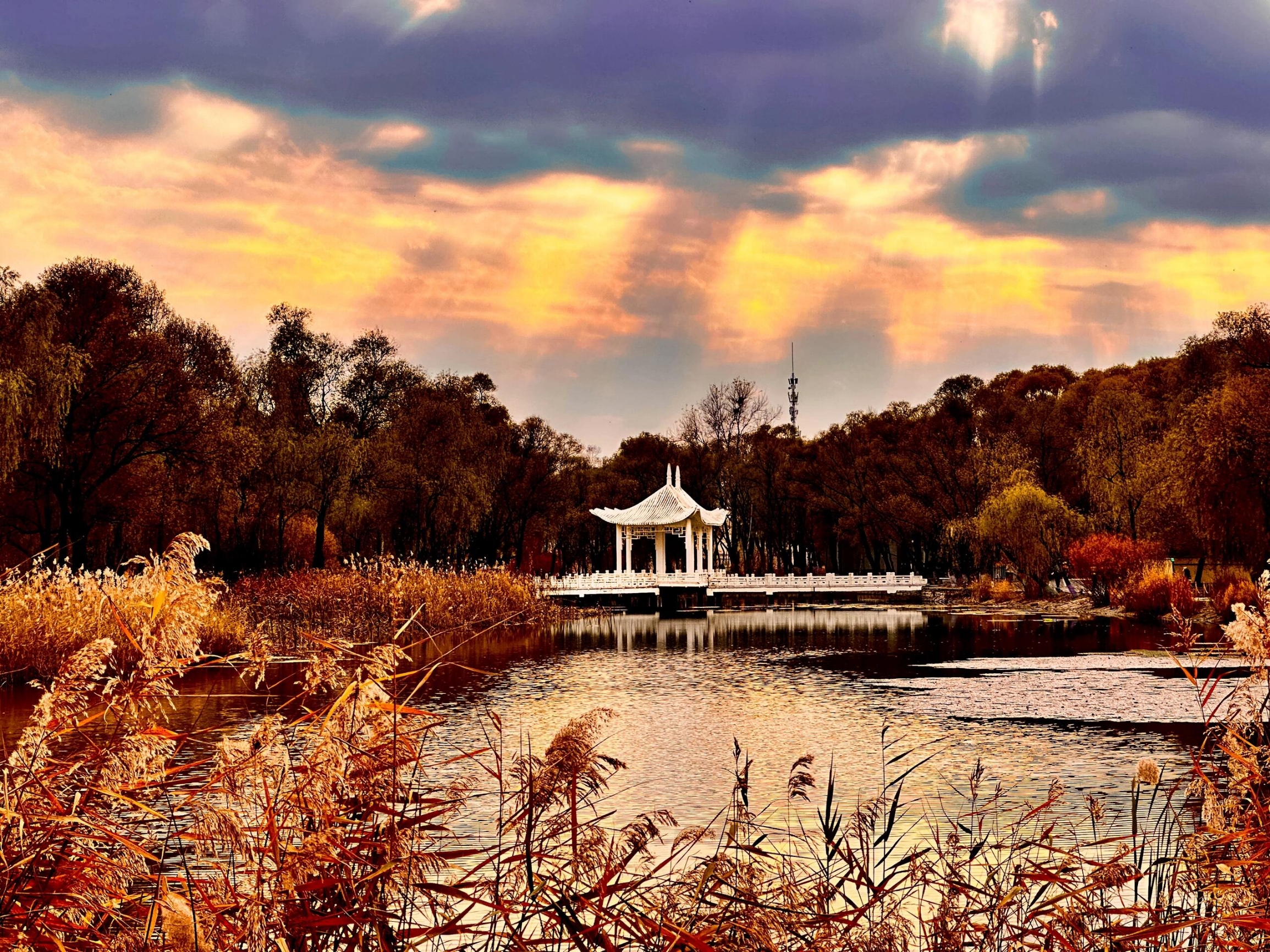 A scenic view of harbin sun island scenic area