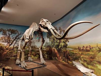 A scenic view of Hebei Museum