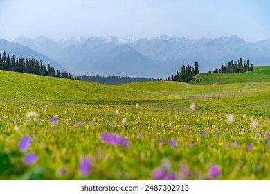 A scenic view of hemusitai grassland