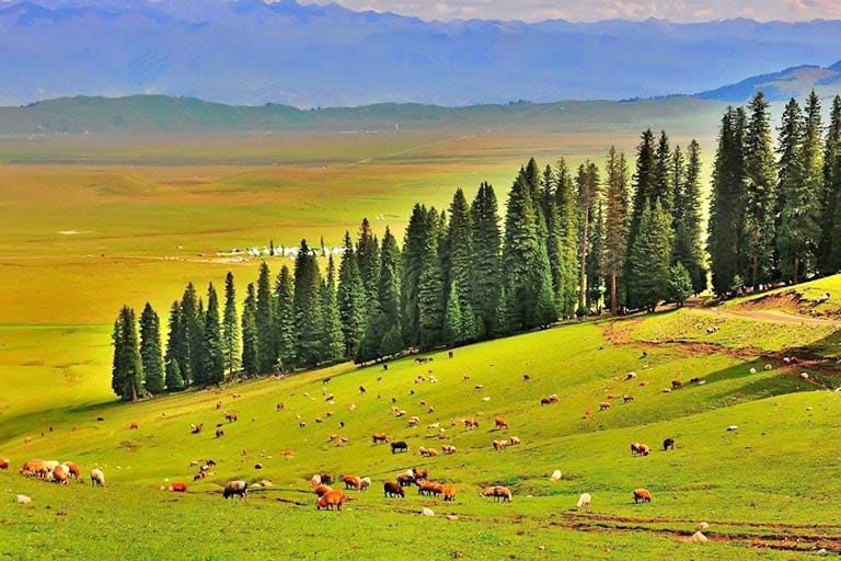A scenic view of hemusitai grassland