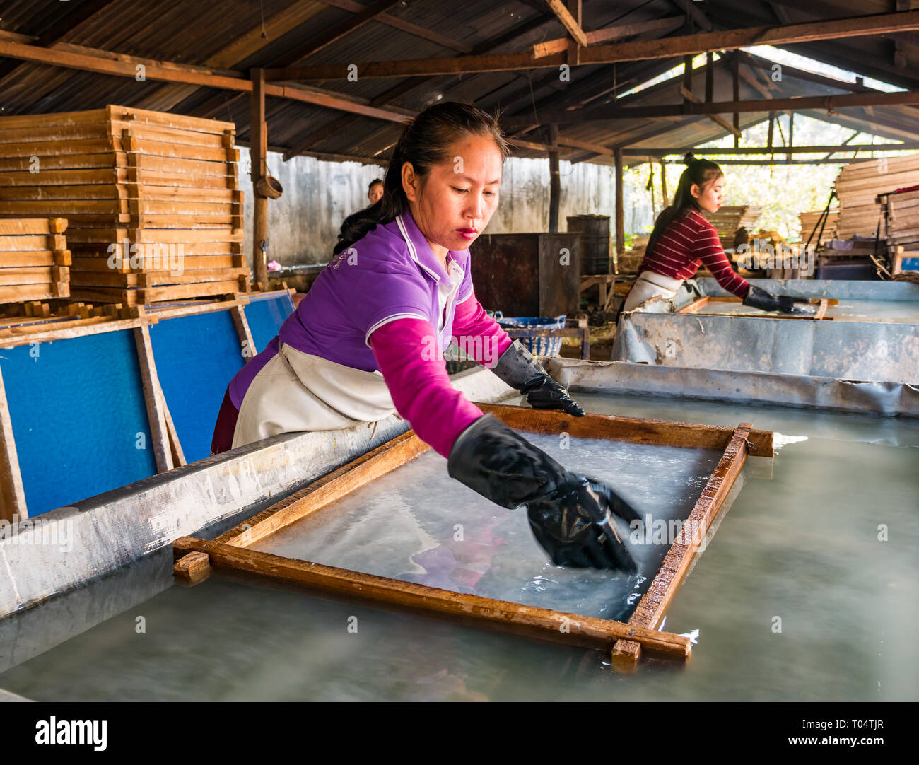 A scenic view of hetian mulberry paper workshop