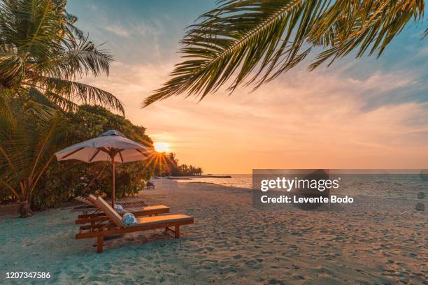 A scenic view of holiday_beach_tourism_area