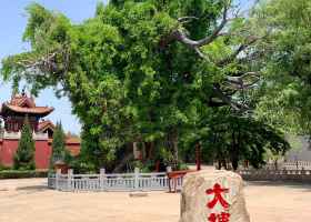 A scenic view of Hongdong Dahuaishu Ancestor Memorial Garden
