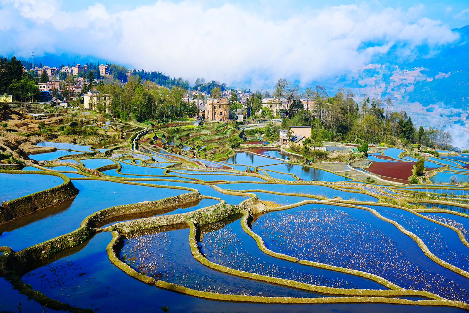 A scenic view of honghe hani terraced fields